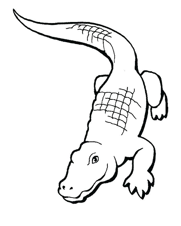 692x863 Crocodile Coloring Page Beautiful Crocodile Coloring Page Fee
