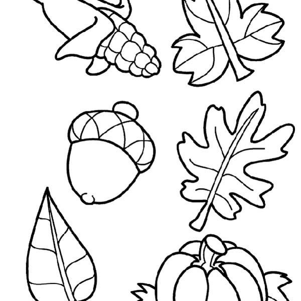 Harvest Coloring Pictures Harvest Crops In Autumn Season Coloring 600x600 Harvest Coloring Pictures Harvest Crops In Autumn Season Coloring