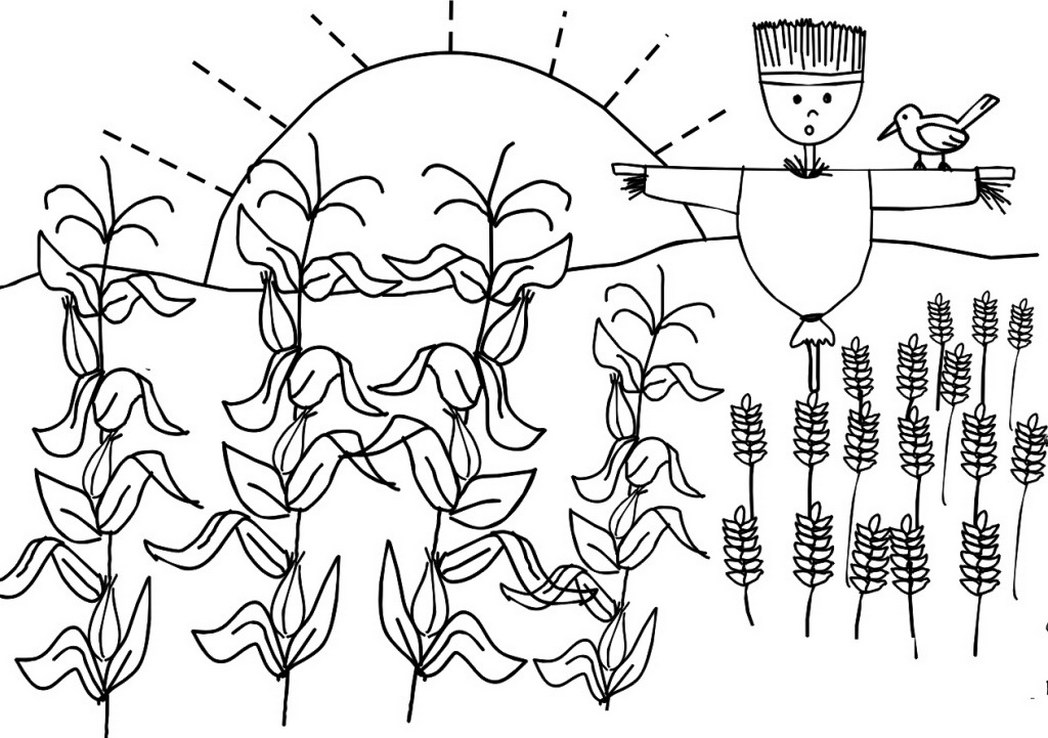 Corn And Wheat Crops Coloring Pages Farmer Day 823904 Coloring 1048x738 Corn And Wheat Crops Coloring Pages Farmer Day 823904 Coloring