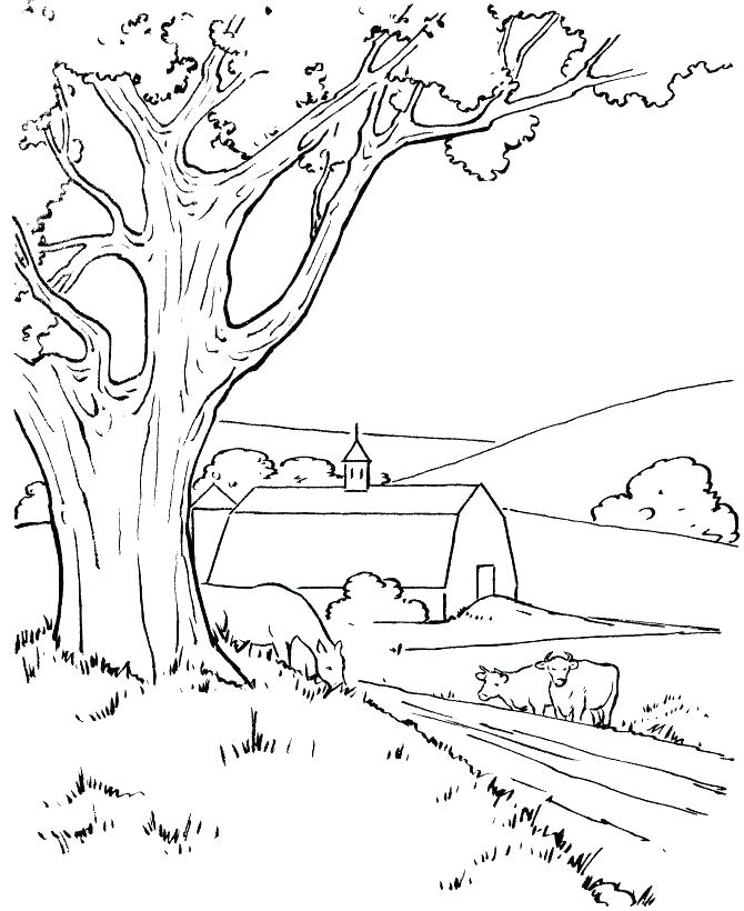 Coloring Pages Of A Farm Corn And Wheat Crops Coloring Pages 670x820 Coloring Pages Of A Farm Corn And Wheat Crops Coloring Pages