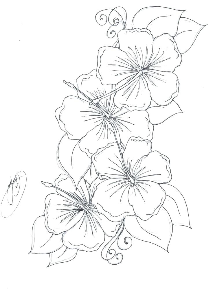 Tattoo Coloring Pages Tattoo Design Coloring Pages Dragon Tattoo 736x1013 Tattoo Coloring Pages Tattoo Design Coloring Pages Dragon Tattoo