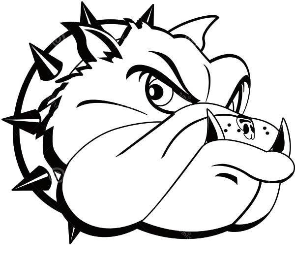 Bulldog Tattoo Coloring Pages Best Place To Color 600x540 Bulldog Tattoo Coloring Pages Best Place To Color