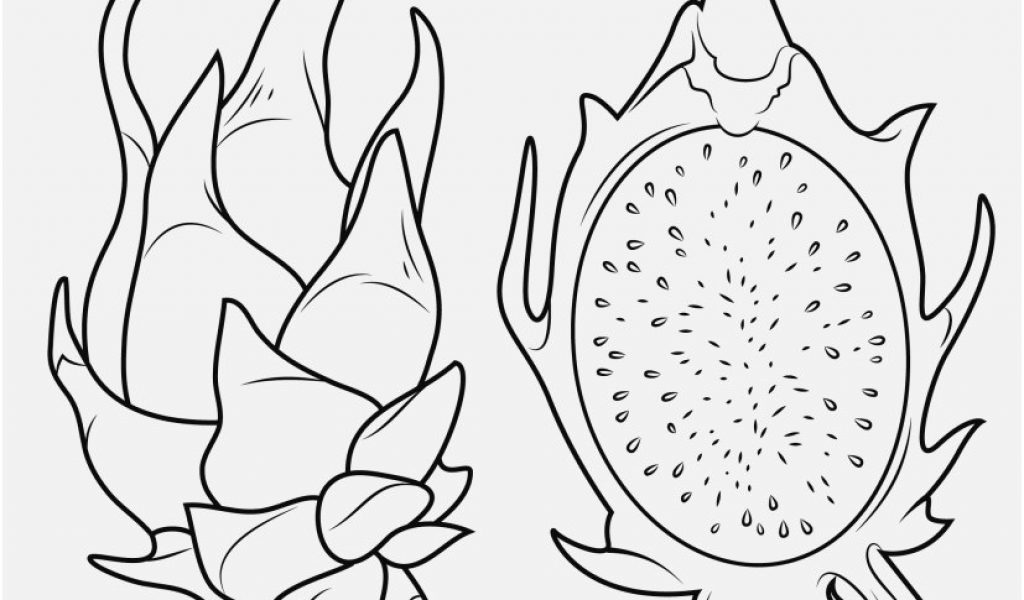 Coloring Page Cross Photo Direct Cross With Flowers Coloring Pages 1024x600 Coloring Page Cross Photo Direct Cross With Flowers Coloring Pages