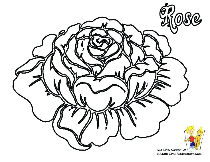 736x568 Coloring Pages Cross With Roses A Bee And Rose Page Beautiful