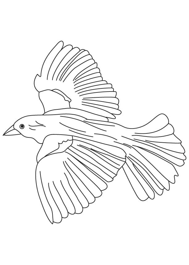 613x860 Crow Coloring Pages All Coloring Pages