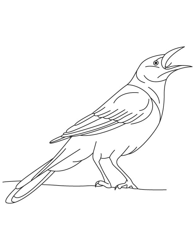 630x810 Crow Coloring Pages 5 Nice Coloring Pages For Kids
