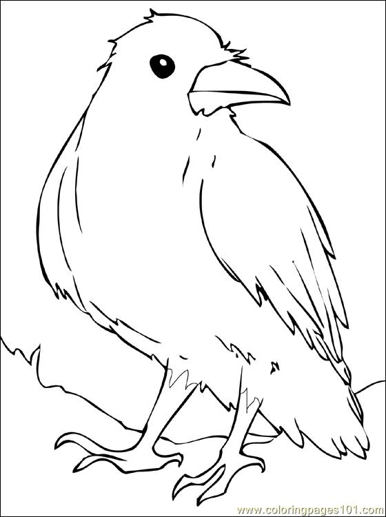 560x750 Raven Coloring Page