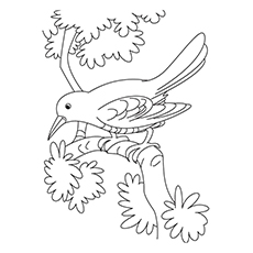 230x230 Top 10 Crow Coloring Pages For Your Toddler