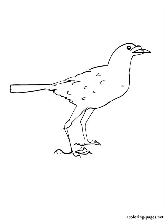 560x750 Coloring Page Crow Coloring Pages