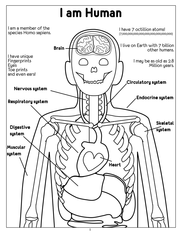Diversity Coloring Pages For Kids 612x792 Diversity Coloring Pages For Kids