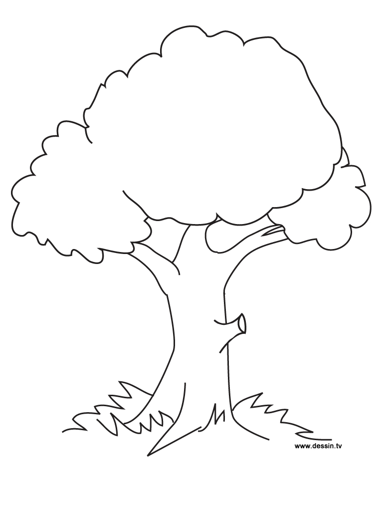 Printable Tree 768x1024 Printable Tree