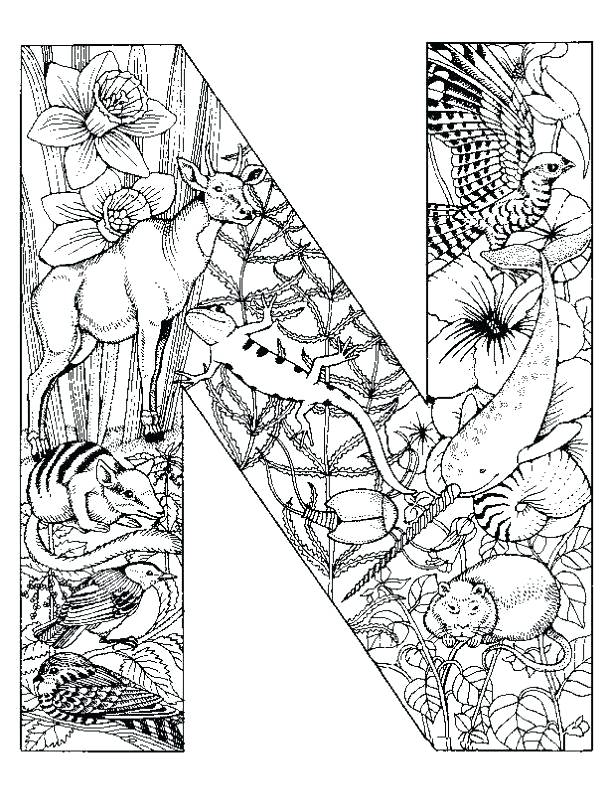 612x792 Capital Letter Coloring Pages Letter D For Coloring D Coloring