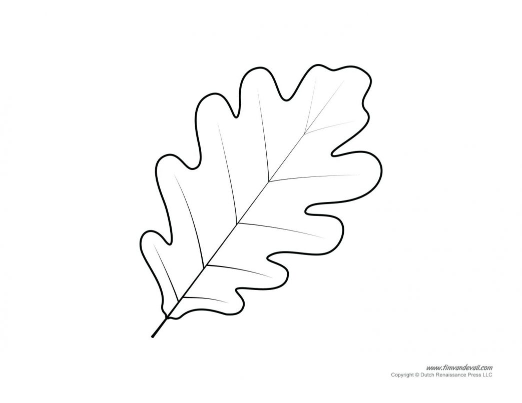 Coloring Pages Flowers Hard Stage Draping Reference And 2 Candle 1043x806 Coloring Pages Flowers Hard Stage Draping Reference And 2 Candle