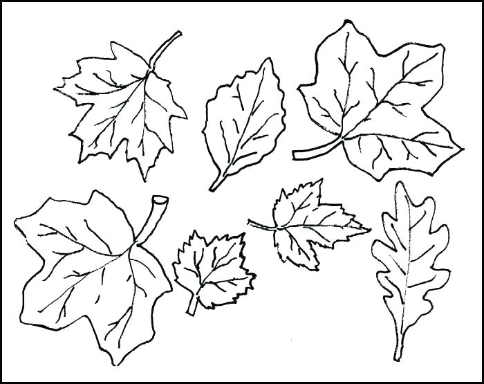 700x555 Cut Out Coloring Pages Cut Out Coloring Pages Cut Out Coloring
