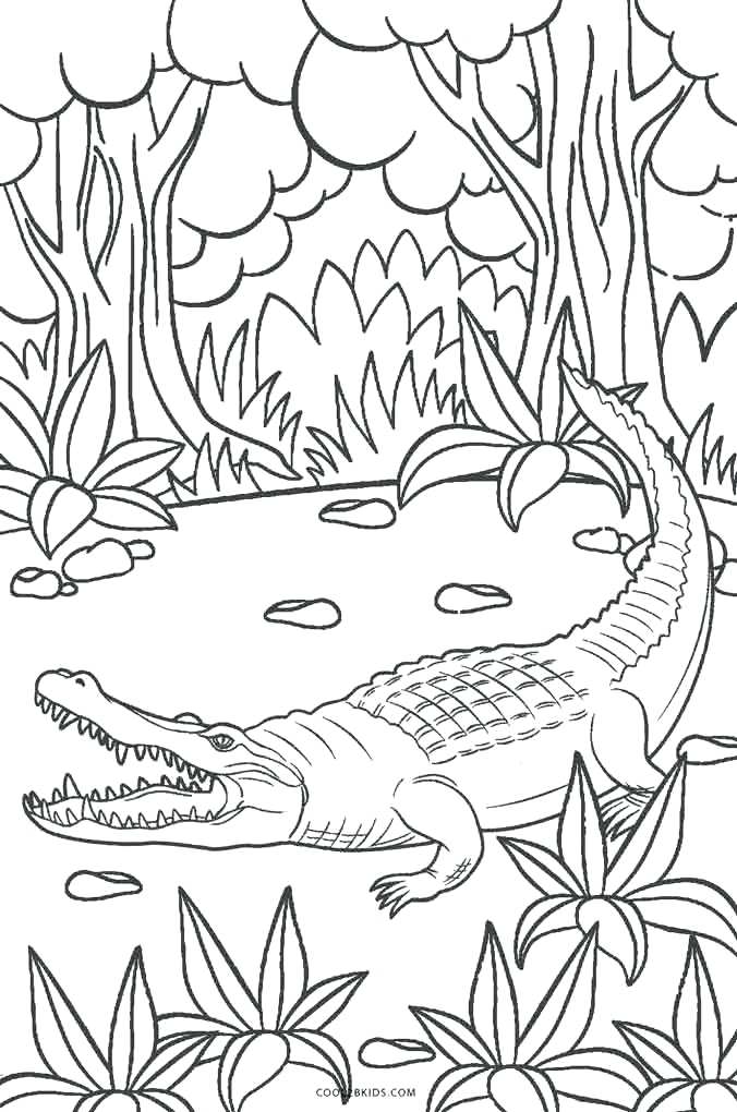 676x1020 Alligator Coloring Pages For Preschool Crocodile Coloring Page