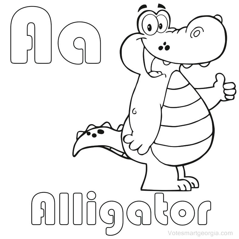 787x787 Alligator Coloring Pages And Cartoon Alligator Coloring Page Cute
