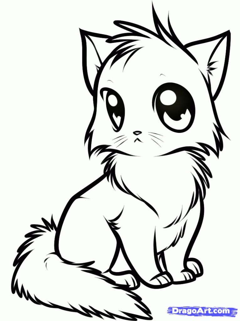 How To Draw A Cute Anime Cat Step By Step Anime Animals Anime Draw 766x1024 How To Draw A Cute Anime Cat Step By Step Anime Animals Anime Draw