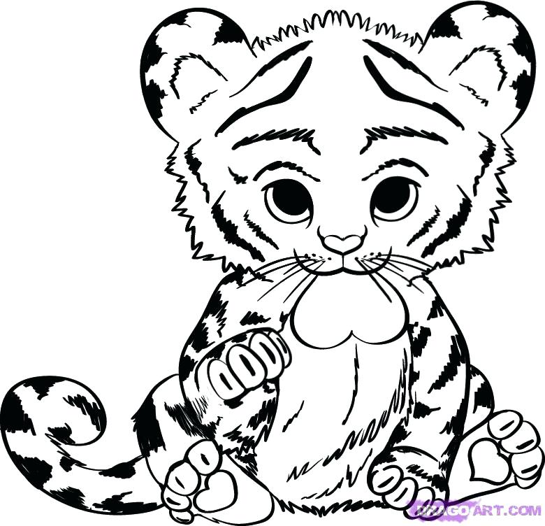 780x752 Coloring Pages Baby Animals Sweet Looking Animals Coloring Pages