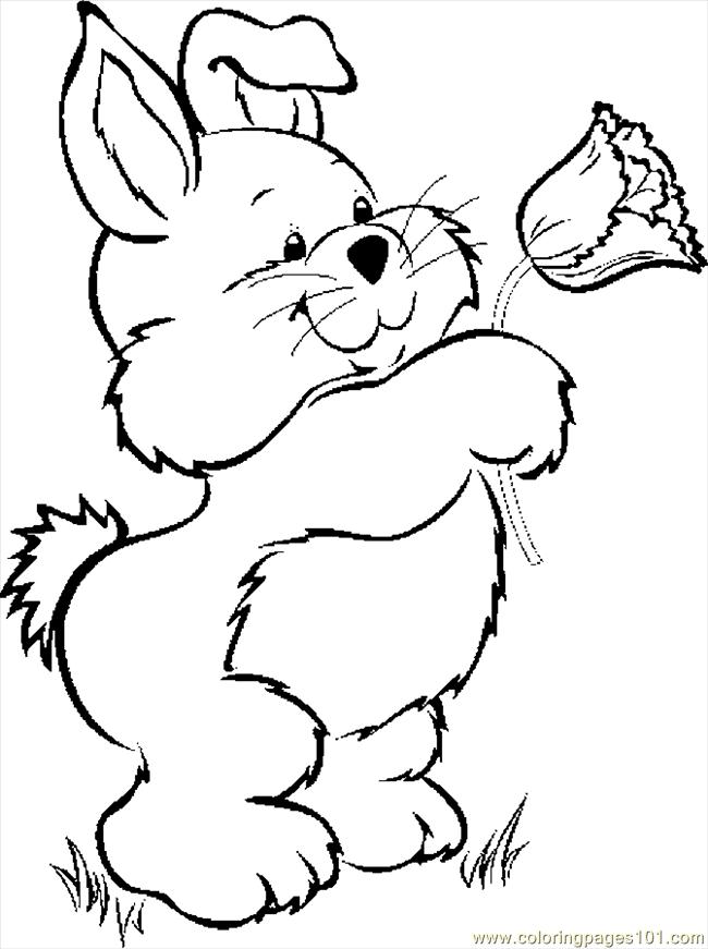Outstanding Cute Baby Bunny Coloring Pages With Rabbit Coloring 650x871 Outstanding Cute Baby Bunny Coloring Pages With Rabbit Coloring