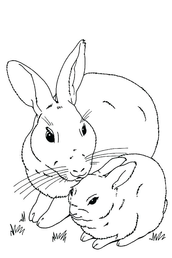 Remarkable Cute Bunny Coloring Pages Coloring Pages Of Cute Baby 567x850 Remarkable Cute Bunny Coloring Pages Coloring Pages Of Cute Baby