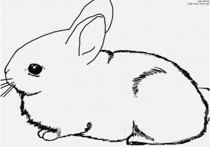 Coloring Pages Of Bunnies Portraits Baby Bunny Coloring Pages 300x210 Coloring Pages Of Bunnies Portraits Baby Bunny Coloring Pages