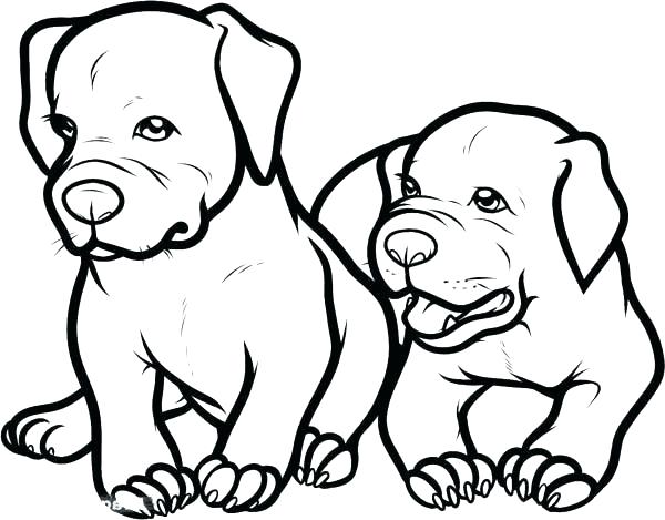 Baby Puppies Coloring Pages Puppy Face Coloring Page Cute Baby 600x469 Baby Puppies Coloring Pages Puppy Face Coloring Page Cute Baby