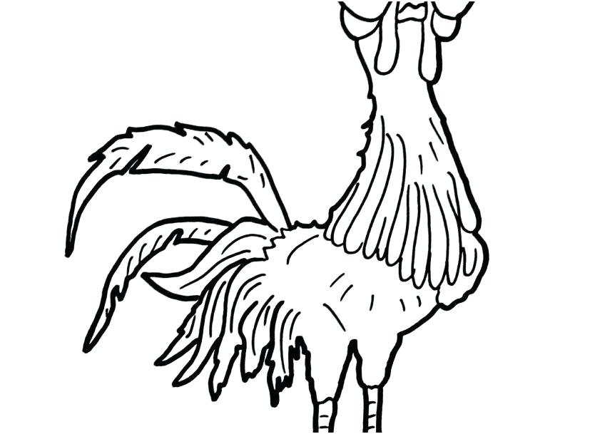 827x609 Dolphin Outlines Coloring Pages Baby Dolphin Coloring Pages