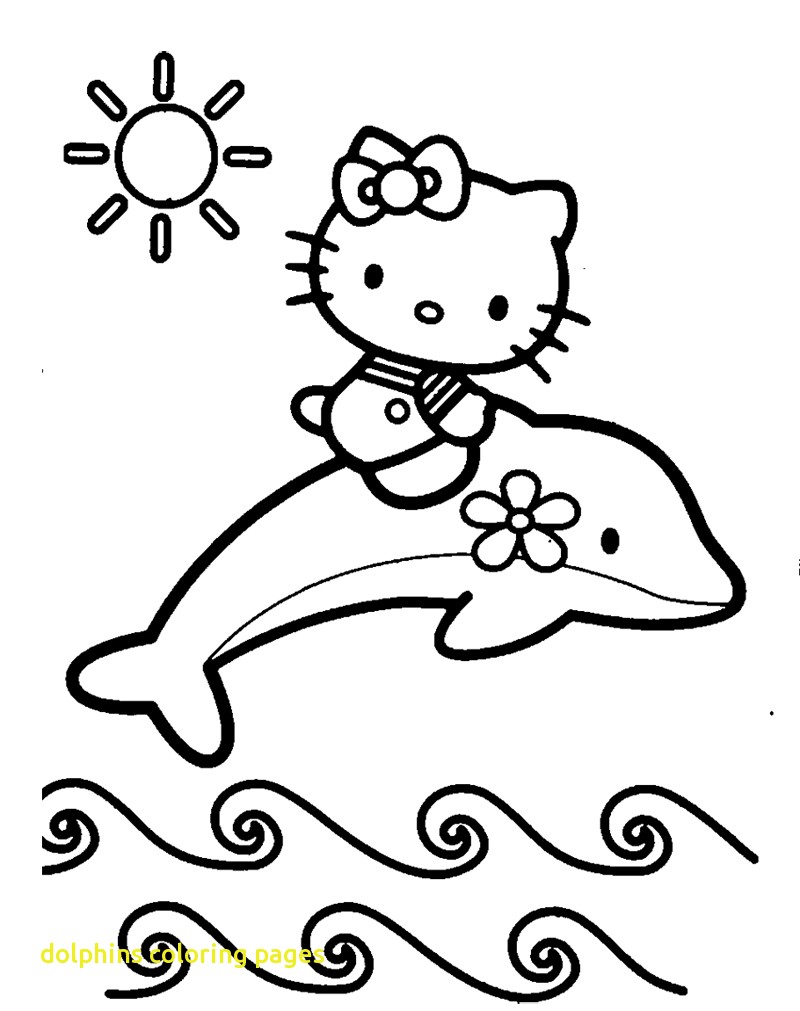 800x1011 Dolphins Coloring Pages Free Printable Animals Dolphin And Crafts