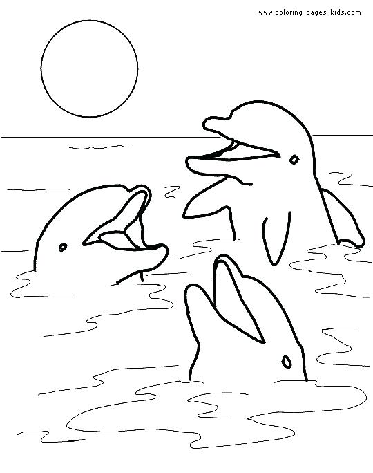 Cute Baby Dolphin Coloring Pages at GetColorings.com | Free printable ...