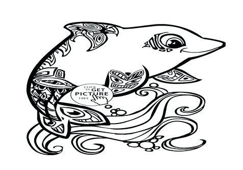 476x333 Baby Dolphin Coloring Pages Baby Dolphin Coloring Pages Page Kids