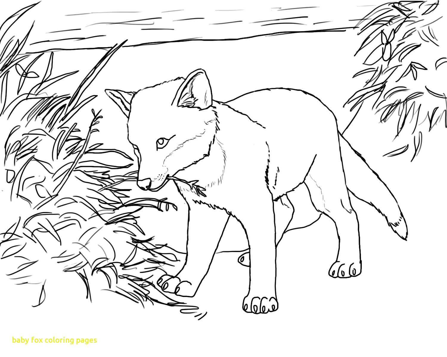 Cute Baby Fox Coloring Pages