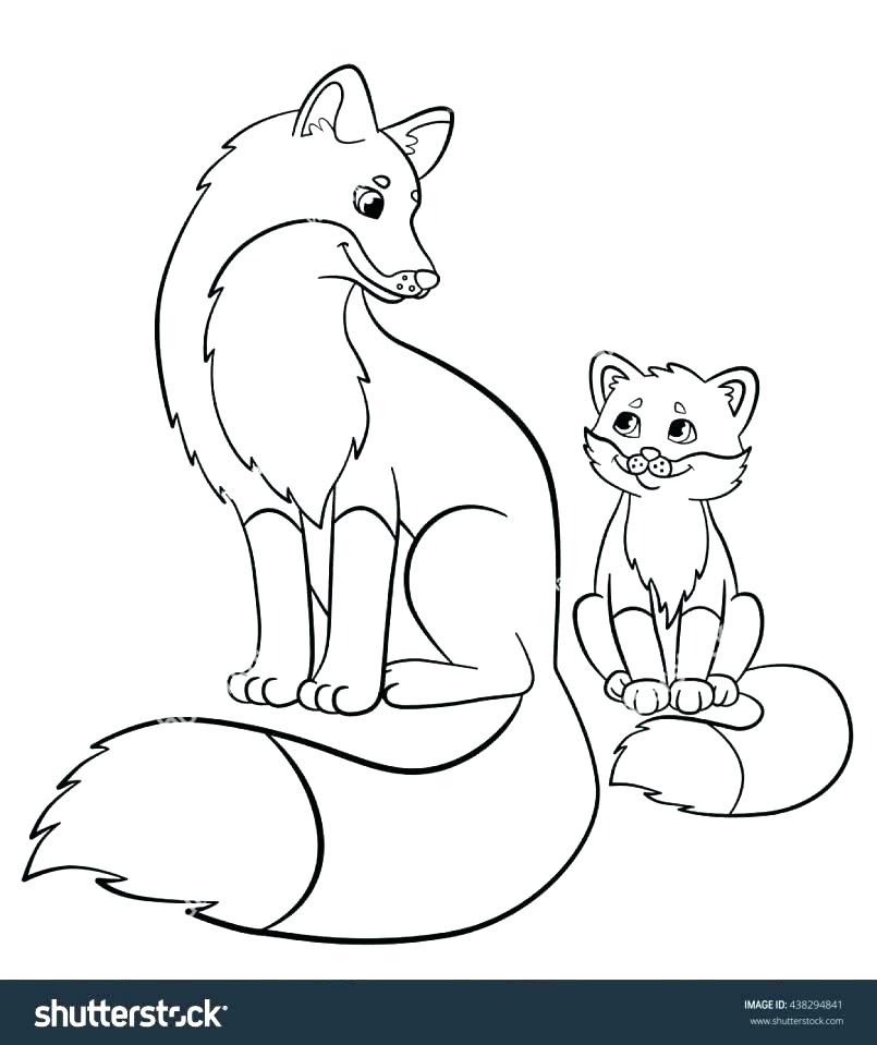 805x959 Coloring Pages Of Foxes Printable Coloring Page Fox Fox Coloring