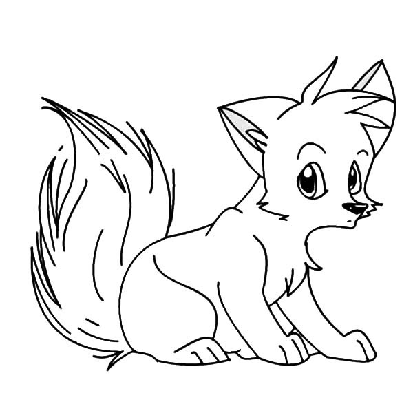 600x600 Cute Baby Fox Coloring Perfect Baby Fox Coloring Pages