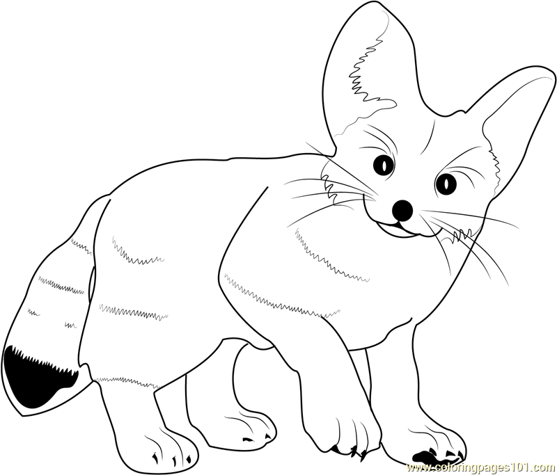 800x683 Fox Coloring Pages