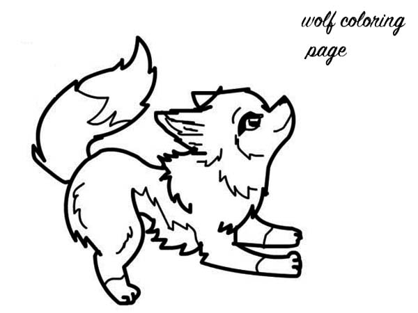 600x450 Pin By Erin Goldberg On Animal Jam Baby Wolves, Wolf