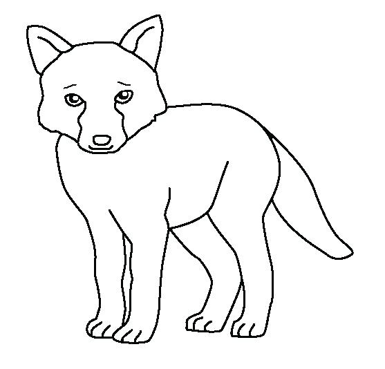 557x534 Fennec Fox Coloring Page Professional