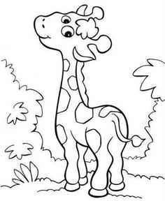 236x288 Free Baby Animal Coloring Pages