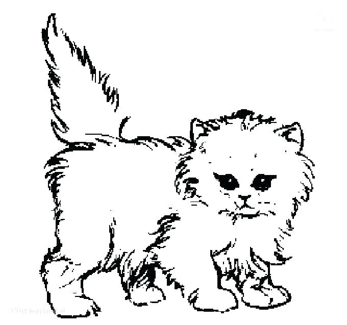 680x637 Kitten Coloring Pages Pictures Kitten Color Pages Cat And Kitten