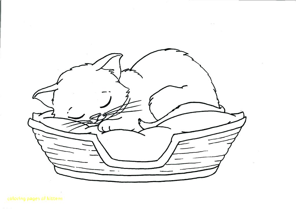 1024x724 Kittens Coloring Pages Pdf Coloring Pages Coloring Pages Packed