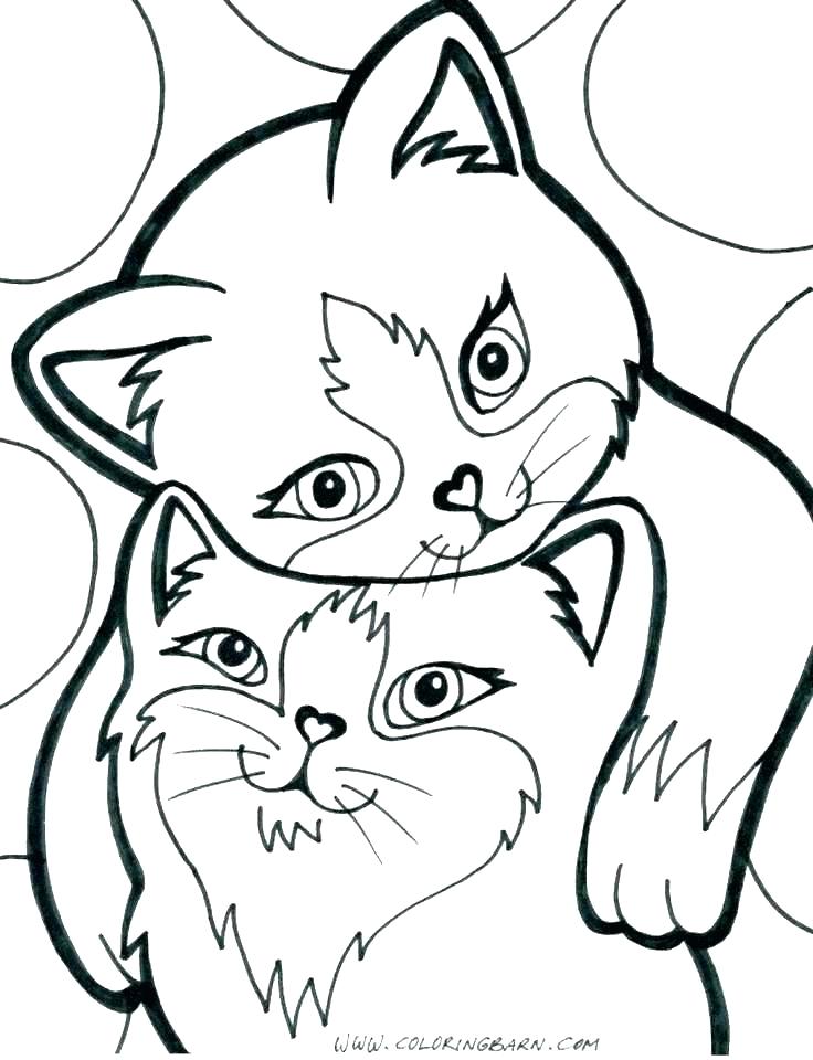 736x960 Cute Kittens Coloring Pages