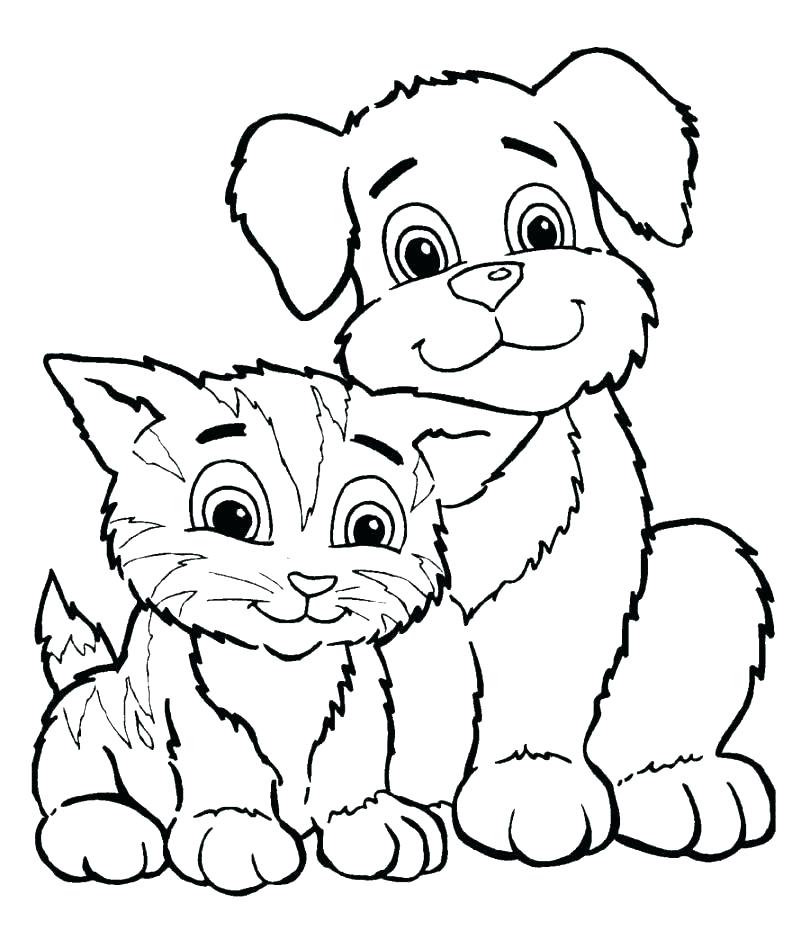 810x939 Kitten Coloring Pages