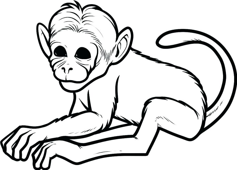 Rocket Monkeys Coloring Pages Monkeys To Color Cute Baby Monkey 900x647 Rocket Monkeys Coloring Pages Monkeys To Color Cute Baby Monkey