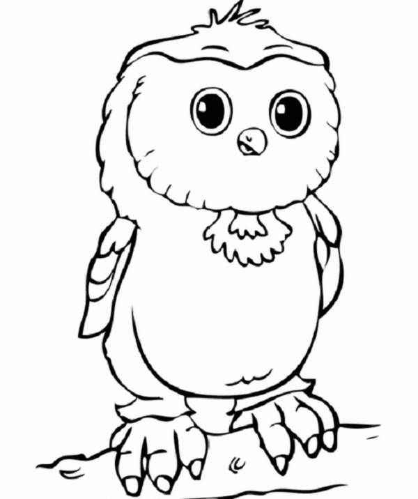 Cute Baby Owl Coloring Pages