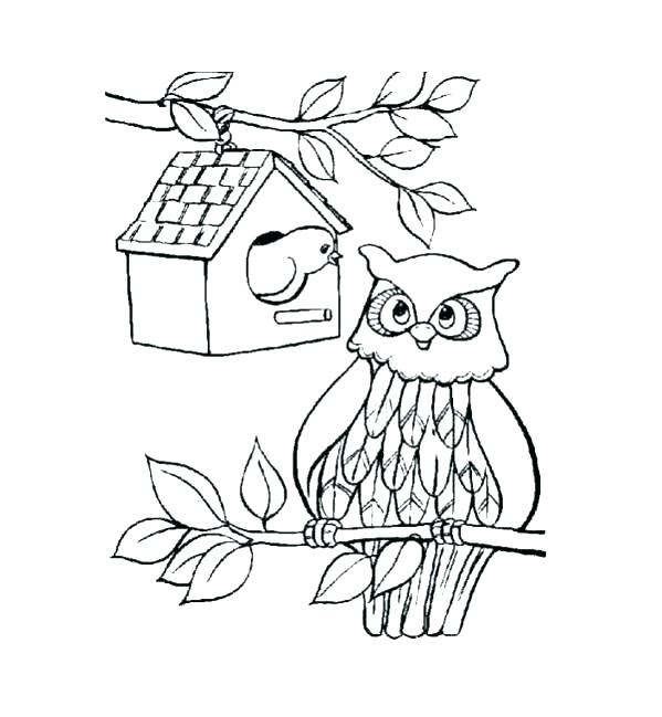 599x649 Baby Owl Coloring Page Cute Baby Owl Coloring Pages Coloring Cute
