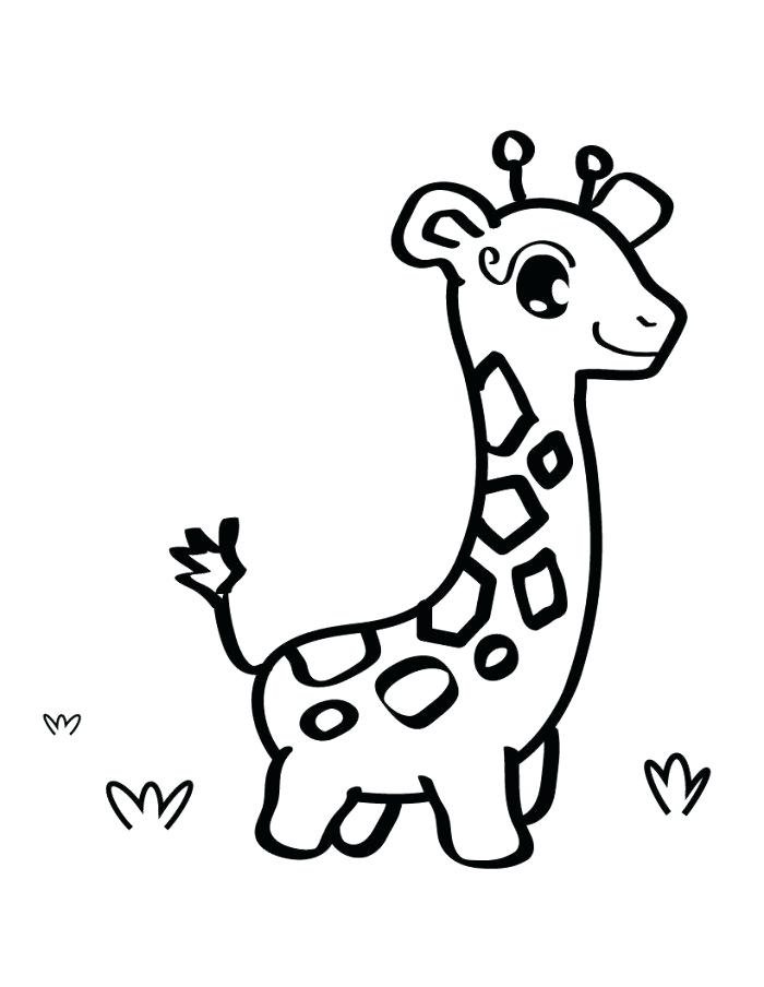 Cute Baby Penguin Coloring Pages Cute Baby Giraffe Coloring Page 700x904 Cute Baby Penguin Coloring Pages Cute Baby Giraffe Coloring Page