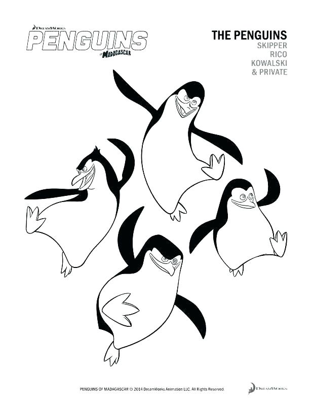 Penguins Coloring Page Coloring Pages Of Penguins Baby Penguin 618x800 Penguins Coloring Page Coloring Pages Of Penguins Baby Penguin