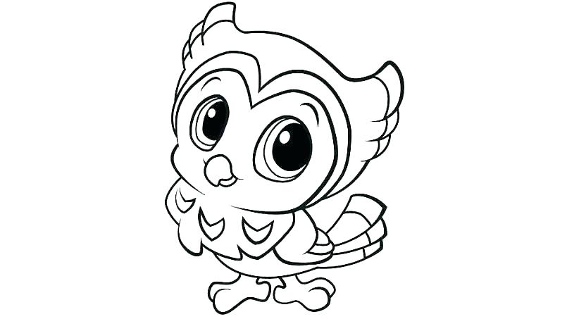 Cute Baby Penguin Coloring Pages 805x453 Cute Baby Penguin Coloring Pages
