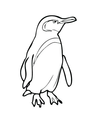 Baby Penguin Coloring Pages Appealing Baby Penguin Coloring Pages 360x480 Baby Penguin Coloring Pages Appealing Baby Penguin Coloring Pages