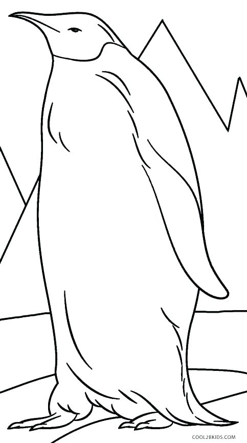 Baby Penguin Coloring Pages Tacky The Penguin Coloring Pages 483x867 Baby Penguin Coloring Pages Tacky The Penguin Coloring Pages
