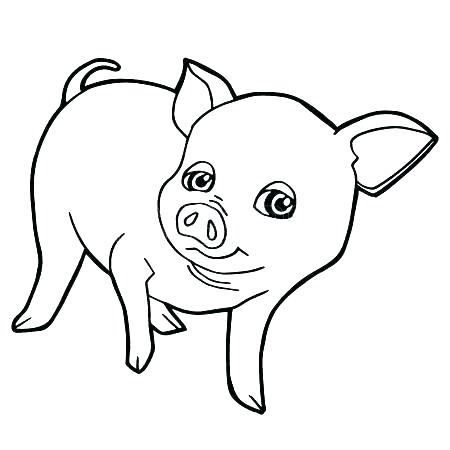 Coloring Page Of A Pig Cartoon Pig Coloring Pages Baby Pig 450x450 Coloring Page Of A Pig Cartoon Pig Coloring Pages Baby Pig